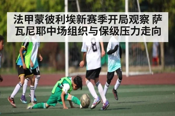 法甲蒙彼利埃新赛季开局观察 萨瓦尼耶中场组织与保级压力走向